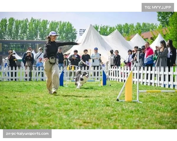 2026国际马术创意之春在北京开幕，设9个竞技高度吸引顶尖骑手